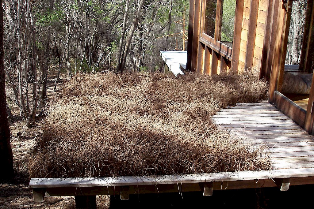 Artwork titled "Welcome" (2008), consists of casaurina needles placed in the gaps between boards on a deck attached to a cabin.