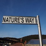 'Nature's Way' by Dean Chatwin